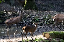 Boutissaint D500 17-10-09 0125   Photos ACG 2017