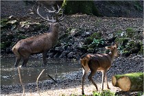 Boutissaint D500 17-10-09 0126   Photos ACG 2017