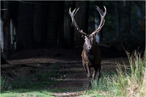 Boutissaint D500 17-10-09 0135   Photos ACG 2017