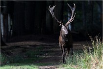 Boutissaint D500 17-10-09 0136   Photos ACG 2017