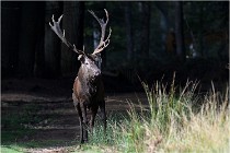 Boutissaint D500 17-10-09 0137   Photos ACG 2017