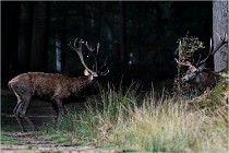 Boutissaint D500 17-10-09 0138   Photos ACG 2017