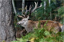 Boutissaint D500 17-10-09 0145   Photos ACG 2017