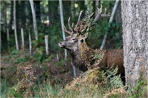 Boutissaint D500 17-10-09 0158   Photos ACG 2017