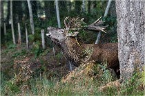 Boutissaint D500 17-10-09 0162   Photos ACG 2017