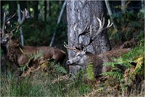 Boutissaint D500 17-10-09 0174   Photos ACG 2017