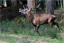 Boutissaint D500 17-10-09 0181   Photos ACG 2017