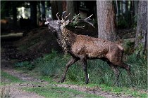 Boutissaint D500 17-10-09 0185   Photos ACG 2017