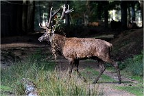 Boutissaint D500 17-10-09 0197   Photos ACG 2017