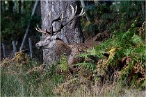 Boutissaint D500 17-10-09 0201   Photos ACG 2017