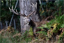 Boutissaint D500 17-10-09 0204   Photos ACG 2017