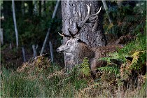 Boutissaint D500 17-10-09 0208   Photos ACG 2017