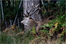 Boutissaint D500 17-10-09 0211   Photos ACG 2017