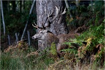 Boutissaint D500 17-10-09 0215   Photos ACG 2017