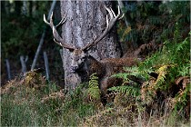 Boutissaint D500 17-10-09 0216   Photos ACG 2017