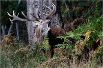 Boutissaint D500 17-10-09 0220   Photos ACG 2017