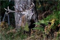 Boutissaint D500 17-10-09 0226   Photos ACG 2017