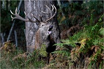 Boutissaint D500 17-10-09 0229   Photos ACG 2017