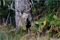 Boutissaint D500 17-10-09 0236   Photos ACG 2017