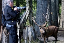 Boutissaint D500 17-10-09 0252   Photos ACG 2017