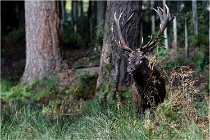 Boutissaint D500 17-10-09 0265   Photos ACG 2017