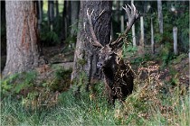 Boutissaint D500 17-10-09 0266   Photos ACG 2017