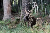 Boutissaint D500 17-10-09 0269   Photos ACG 2017