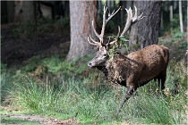 Boutissaint D500 17-10-09 0270   Photos ACG 2017