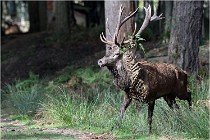 Boutissaint D500 17-10-09 0274   Photos ACG 2017