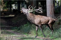 Boutissaint D500 17-10-09 0280   Photos ACG 2017