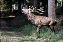 Boutissaint D500 17-10-09 0282   Photos ACG 2017