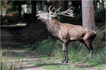 Boutissaint D500 17-10-09 0285   Photos ACG 2017