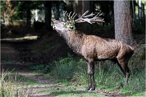 Boutissaint D500 17-10-09 0289   Photos ACG 2017