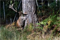 Boutissaint D500 17-10-09 0295   Photos ACG 2017