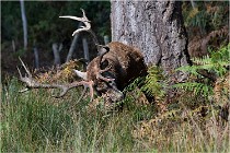 Boutissaint D500 17-10-09 0300   Photos ACG 2017