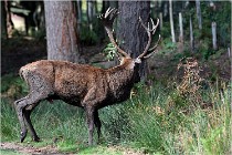 Boutissaint D500 17-10-09 0304   Photos ACG 2017