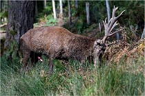 Boutissaint D500 17-10-09 0306   Photos ACG 2017