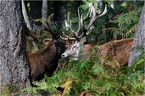 Boutissaint D500 17-10-09 0317   Photos ACG 2017