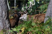 Boutissaint D500 17-10-09 0318   Photos ACG 2017