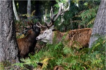 Boutissaint D500 17-10-09 0319   Photos ACG 2017