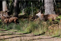 Boutissaint D500 17-10-09 0322   Photos ACG 2017