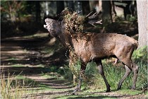 Boutissaint D500 17-10-09 0325   Photos ACG 2017