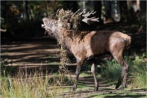 Boutissaint D500 17-10-09 0333   Photos ACG 2017