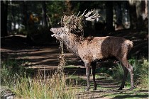 Boutissaint D500 17-10-09 0335   Photos ACG 2017