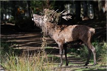 Boutissaint D500 17-10-09 0340   Photos ACG 2017