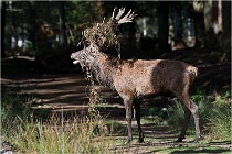 Boutissaint D500 17-10-09 0342   Photos ACG 2017