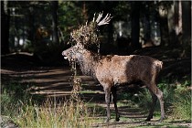 Boutissaint D500 17-10-09 0344   Photos ACG 2017