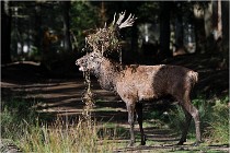 Boutissaint D500 17-10-09 0345   Photos ACG 2017