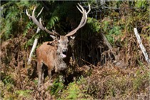 Boutissaint D500 17-10-09 0366   Photos ACG 2017