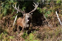 Boutissaint D500 17-10-09 0369   Photos ACG 2017